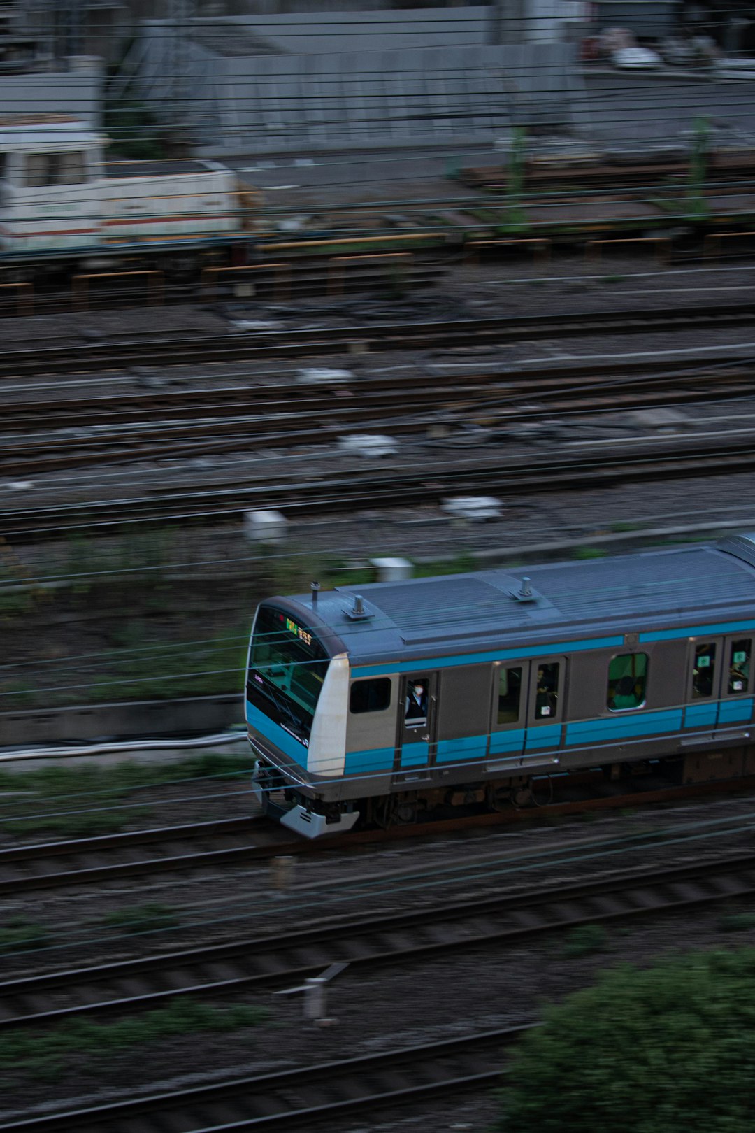 Metro Connectivity